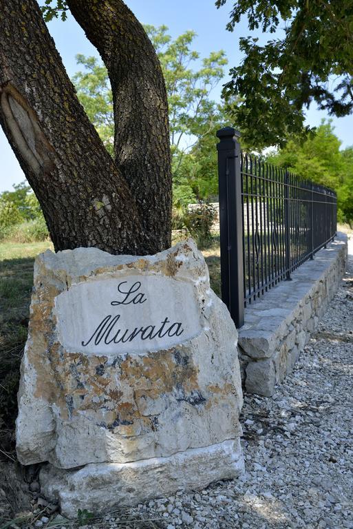 La Murata Rapolano Terme Bagian luar foto